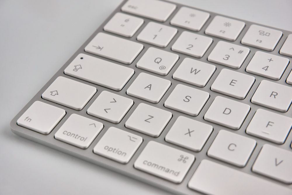 The "Apple key" a.k.a "Command key"